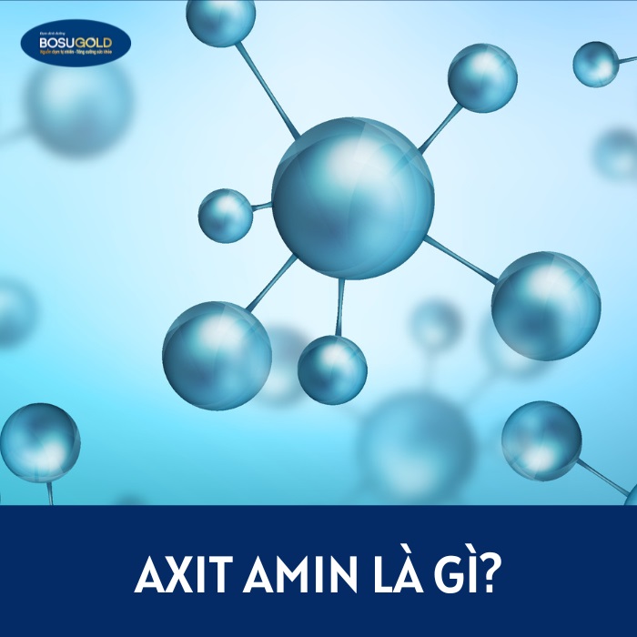 axit amin là gì