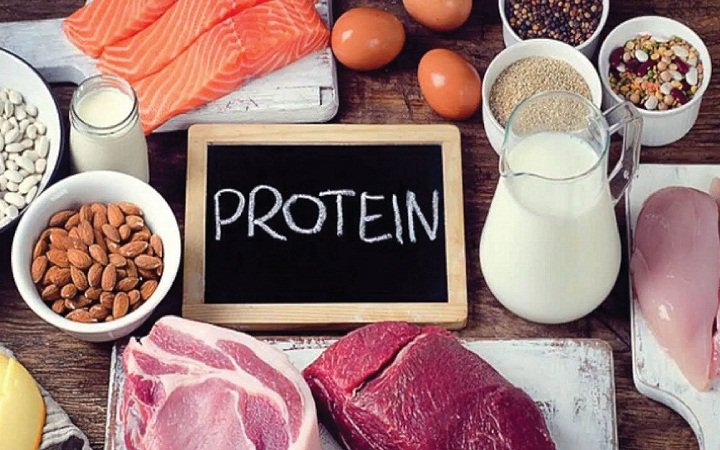 Đạm có nhiều ở các loại thịt nạc như thịt gà, gà tây và thịt heo. Các loài hải sản, bao gồm cả cá, cũng là một nguồn đạm tuyệt vời và dễ tiêu