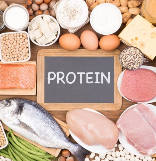 VAI TRÒ CỦA PROTEIN TRONG THỰC PHẨM VAI TRÒ CỦA PROTEIN TRONG THỰC PHẨM