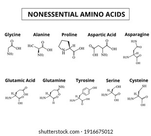 Các axit amin không thiết yếu chiếm tỷ lệ lớn trong thành phần đạm của thức ăn