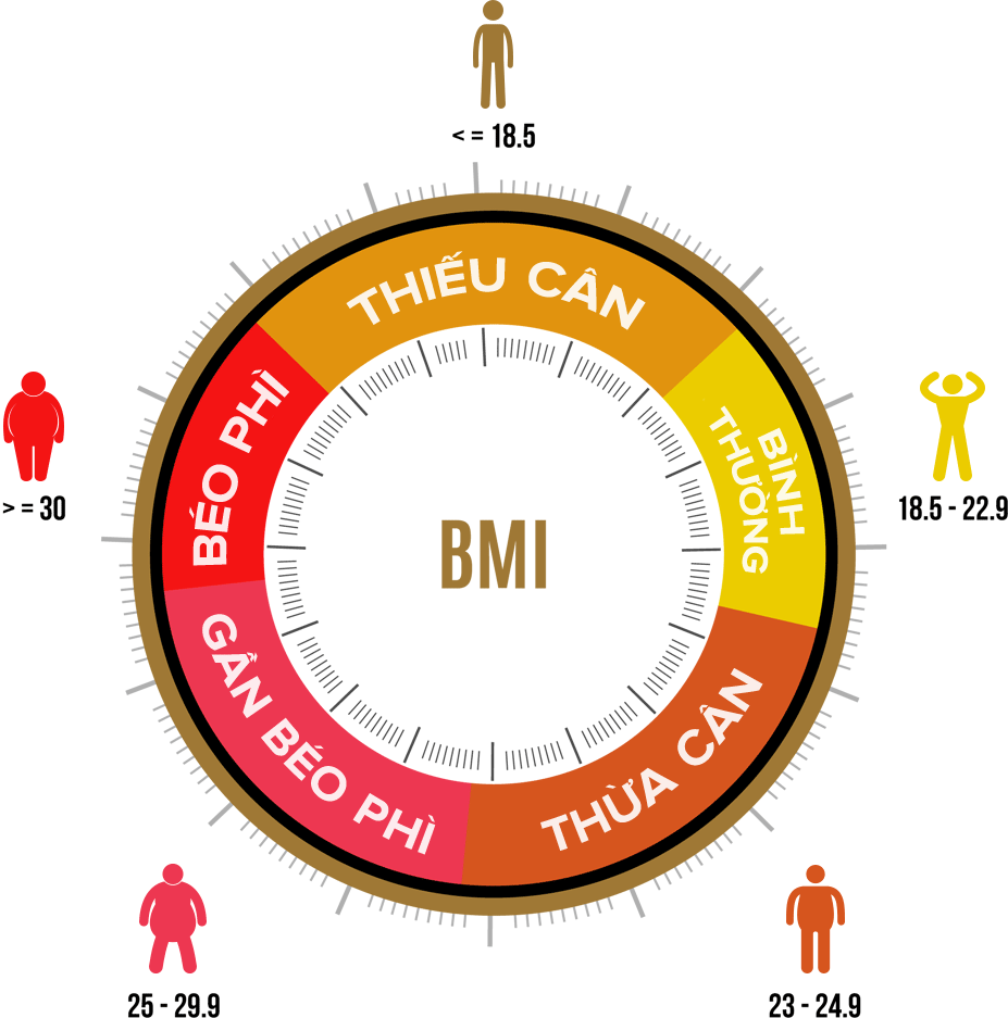 CHỈ SỐ BMI LÀ GÌ? CÁCH TÍNH VÀ ĐO CHỈ SỐ BMI - BOSUGOLD