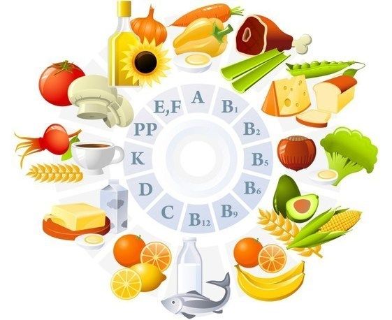 Vitamin là các chất hữu cơ chúng tan được trong chất béo hoặc tan trong nước