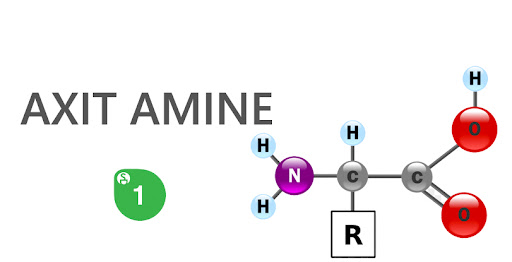 axit amin